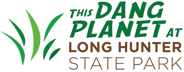This Dang Planet Logo